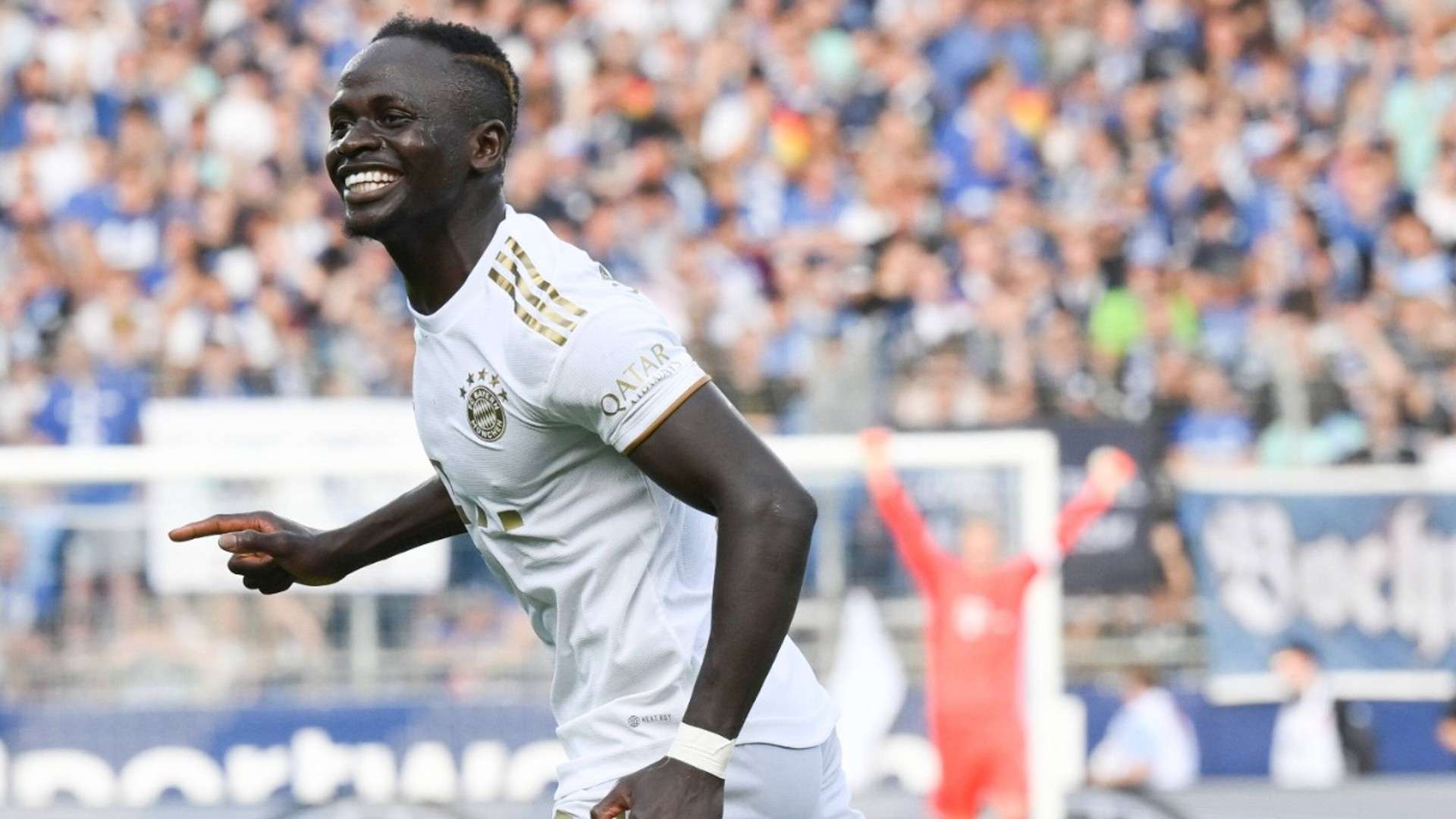 近幾個賽季 近幾個賽季