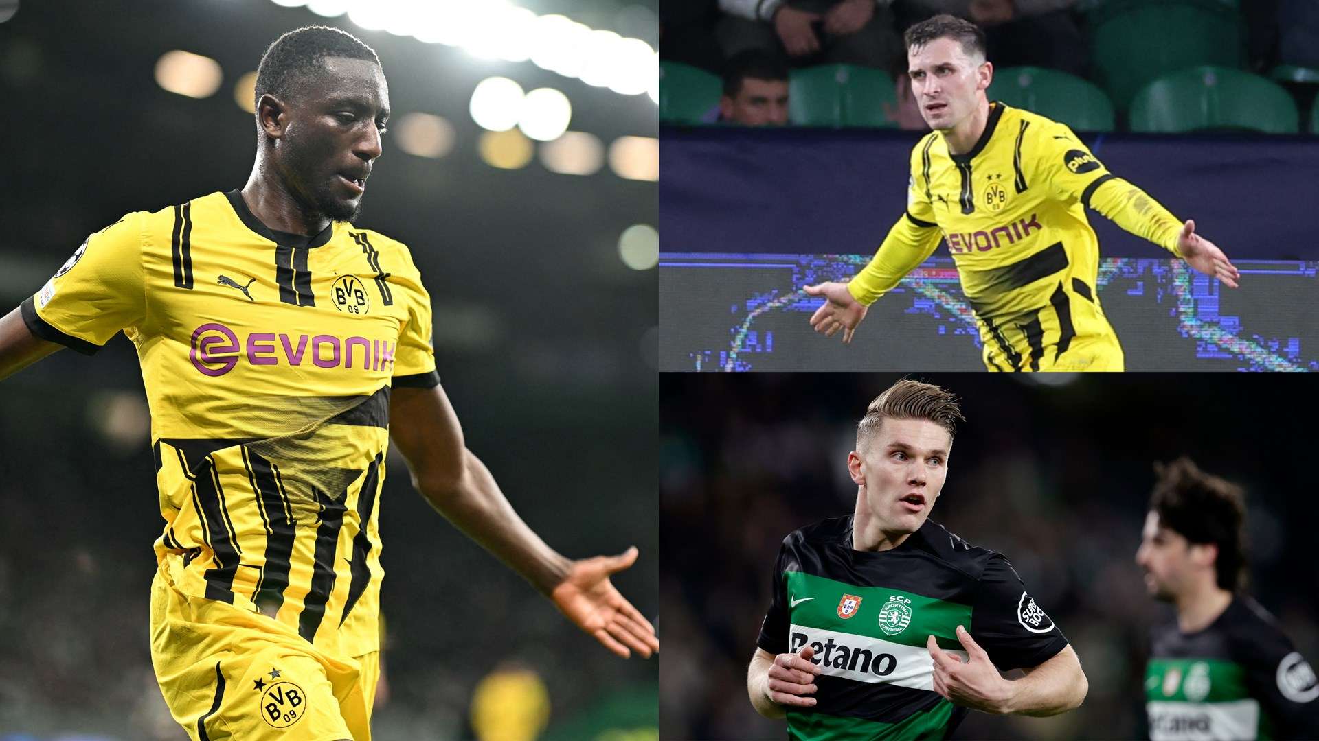 德大放异彩 德大放异彩