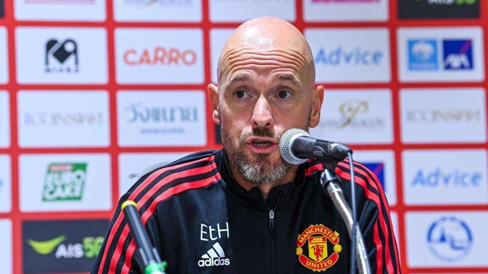 多的特質高 多的特質高